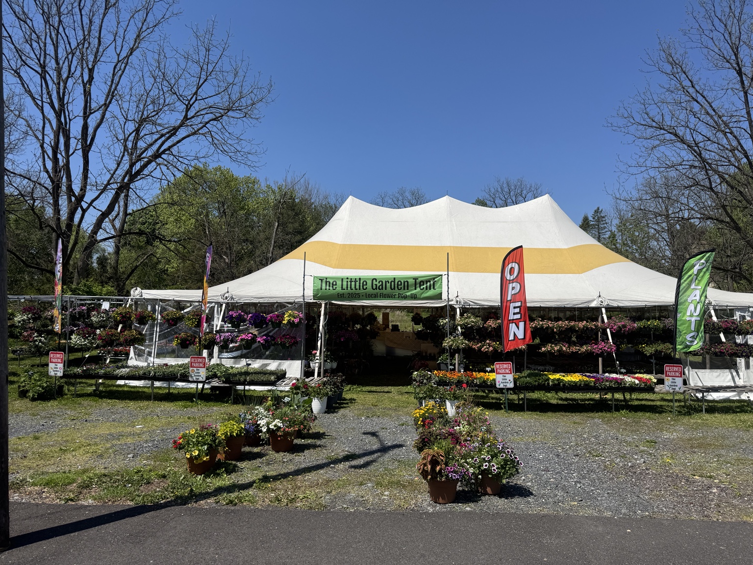 The tent open in spring with flowering plants and hanging baskets